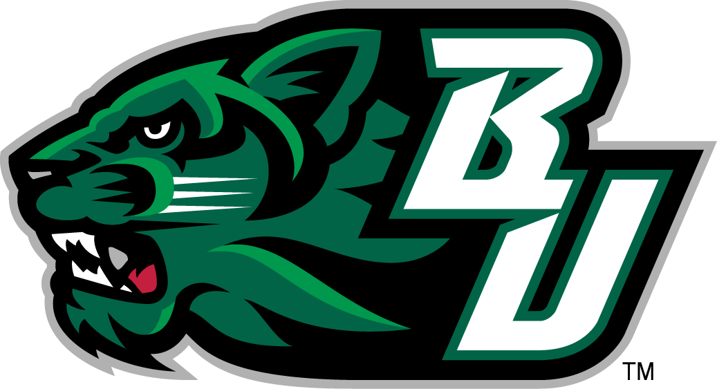 Binghamton Bearcats 2001-Pres Secondary Logo 02 vinyl decal